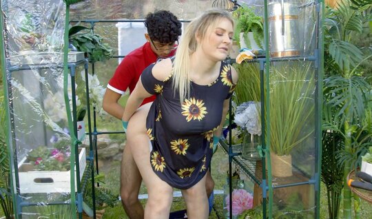 Mom with a big ass gives a blowjob to her stepson in the garden